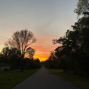 Meet your Posher, Colleen